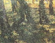 Vincent Van Gogh Tree Trunks with Ivy (nn04) china oil painting artist